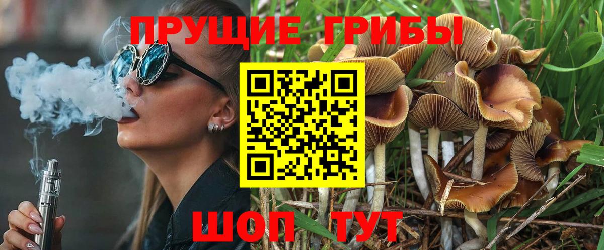 Галлюциногенные грибы мицелий  Псилоцибиновые грибы Magic Shrooms  Вход с VPN  Прокопьевск 